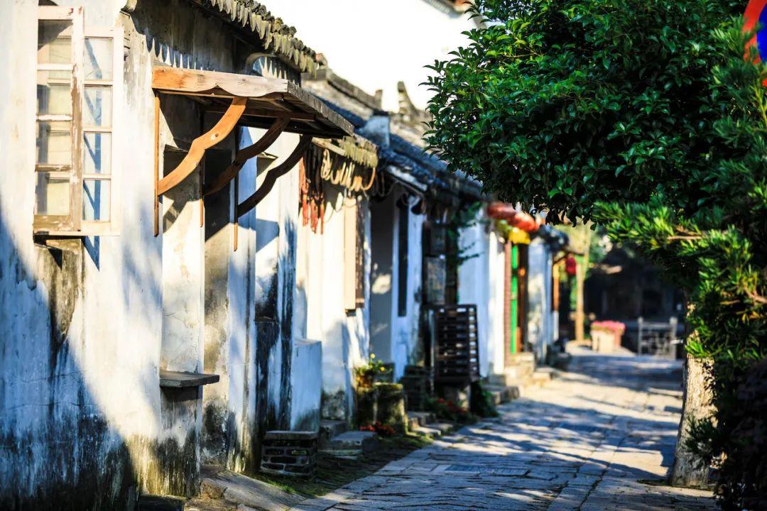 探索知识宝库,尽在任达华女儿出道,星二代里谁最有出息,葛优还是谢霆锋、阿瑟?蜗牛问答平台